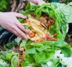Makanan yang Terbuang, Bangsa yang Rugi: Saatnya Indonesia Punya Kebijakan Anti Food Waste