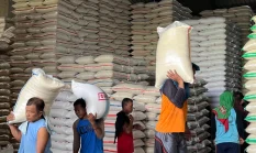 Paradoks Kebijakan Perberasan: Antara Petani, Penggilingan, dan Konsumen